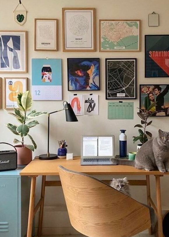 A cat sitting on a desk in front of a laptop.